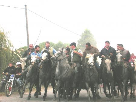 Abrivado ou Arriv&eacute;e